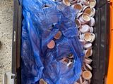 a plastic container filled with coins and a plastic bag