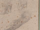 dessin d'une patte de chat présentant des taches sur le côté gauche