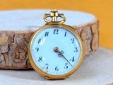 a gold pocket watch sitting on top of a tree stump