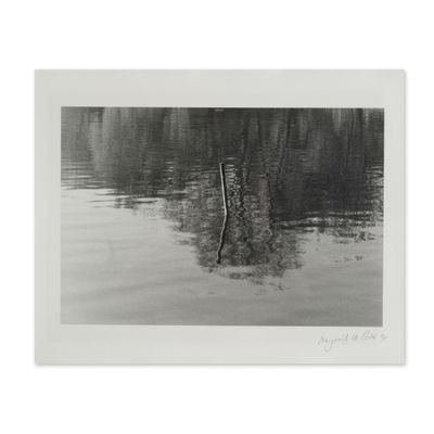 photographie en noir et blanc d'un arbre au milieu d'un lac