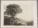 une image représentant un dessin d'un arbre sur une colline