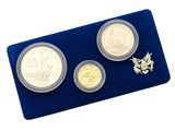 three coin set in display case on blue velvet