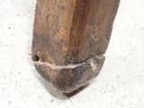 a close up of a piece of wood on the ground