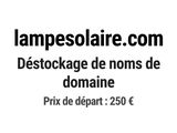 Photo 1/1 du lot