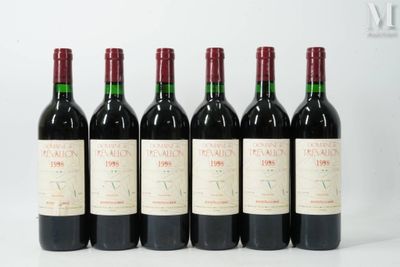 six bouteilles de vin rouge sont alignées