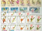 de nombreux timbres accrochés au mur, représentant des fleurs et des oiseaux