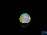 a white oplite in a black background