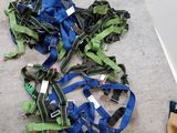 un tas de laisses bleues et vertes par terre