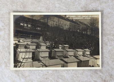 une vieille photo montrant un groupe de ruches devant un bâtiment