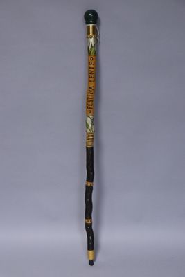 a close up of a cane with a wooden handle on a white background