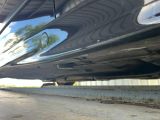 a close up view of a car ' s rear end with a reflection of a tree in the background