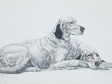 drawing of a dog and a cat laying on the ground