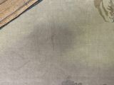a picture of a cat that is sitting on a rug