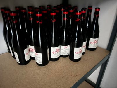 des bouteilles de vin sont alignées sur une étagère dans une pièce