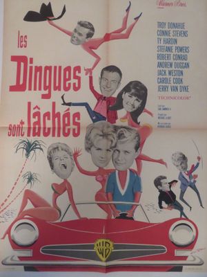 affiche française du film « Les Dingues de Lacchee »