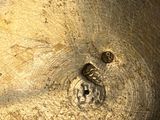 a close up of a dirty sink with a metal faucet