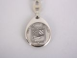 an image of a medal on a silver chain