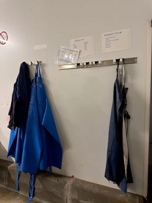deux parapluies accrochés au mur d'une pièce