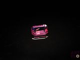 des tourmalines roses dans une pièce sombre, sur fond noir