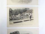 three old black and white photos of horses and carriages in a town