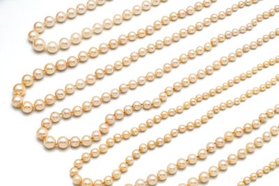 des perles sont disposées en rangée sur une surface blanche