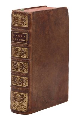 un vieux livre à la couverture brune et à la bordure dorée