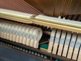 a close up of a piano with a bunch of spoons on it