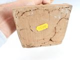 a hand holding a piece of clay with a yellow sticker on it