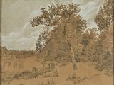 a drawing of a tree in the middle of a field