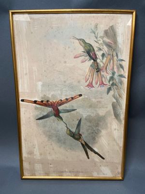 une image représentant un tableau sur lequel figurent deux colibris et une fleur, dans un cadre doré