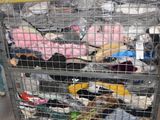 a metal cart filled with stuffed animals in a warehouse
