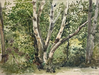 une aquarelle représentant un arbre dans les bois