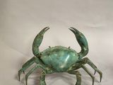 un crabe vert posé sur une surface blanche