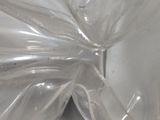 a close up of a plastic bag with a bug inside of it