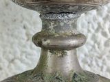 a close up of a vase with moss growing on it