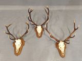 deux têtes de cerfs accrochées au mur, avec leurs bois