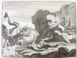 un dessin représentant un dragon attaquant un homme à terre