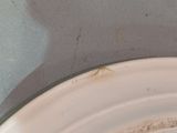 a white plate that has a brown spot on it