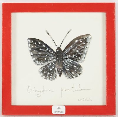 tableau représentant un papillon noir et blanc dans un cadre rouge