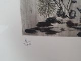 Photo 4/5 du lot