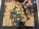 a picture of a man in a bull suit on display
