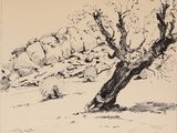 un dessin en noir et blanc représentant un arbre dans un champ