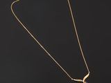 a gold plated necklace with a bird pendant on a black background