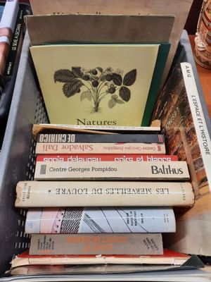 un grand nombre de livres qui se trouvent dans une boîte