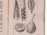 an old book with a bunch of drawings on it