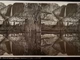 a black and white photo of a reflection of trees in the water