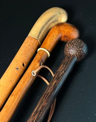 Lot de 3 cannes comprenant une en palmier à pommeau sphériqu…