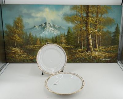 a painting of a mountain in the background and a plate in the foreground
