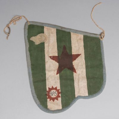 a green and white flag with a red star on it