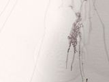 a picture of a snowboarder going down a snowy hill